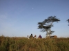 A-picnic-dinner-in-Laikipia
