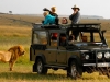 Getting-up-close-to-wildlife-on-a-game-drive