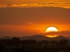 Amboseli-sunset