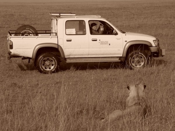 Conserving large carnivores: dollars and fence