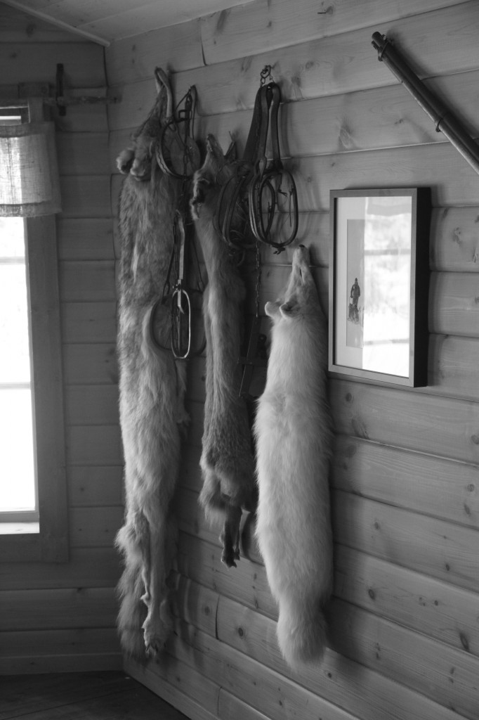Hunting, fishing, and trapping are still a big part of life in Lapland.