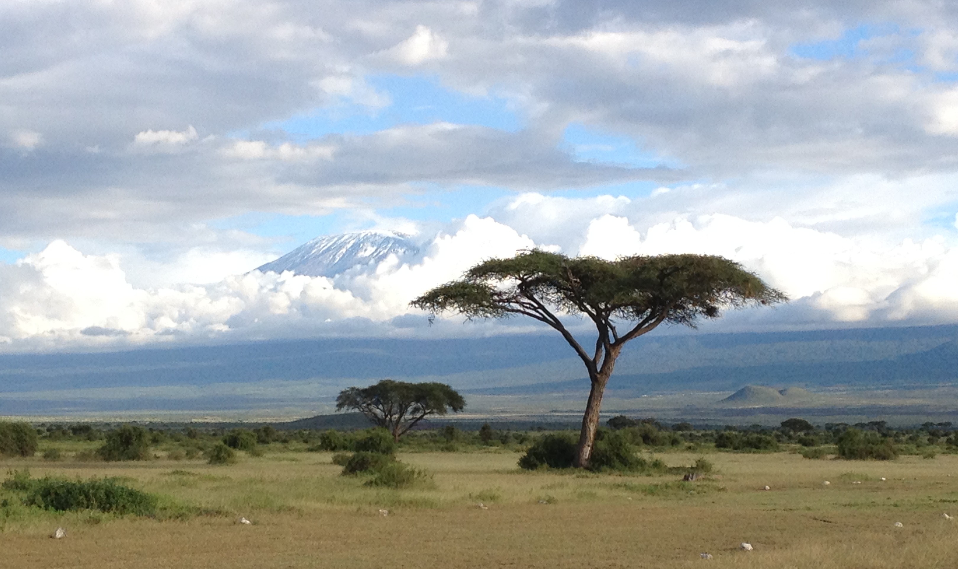 Family safari to Amboseli