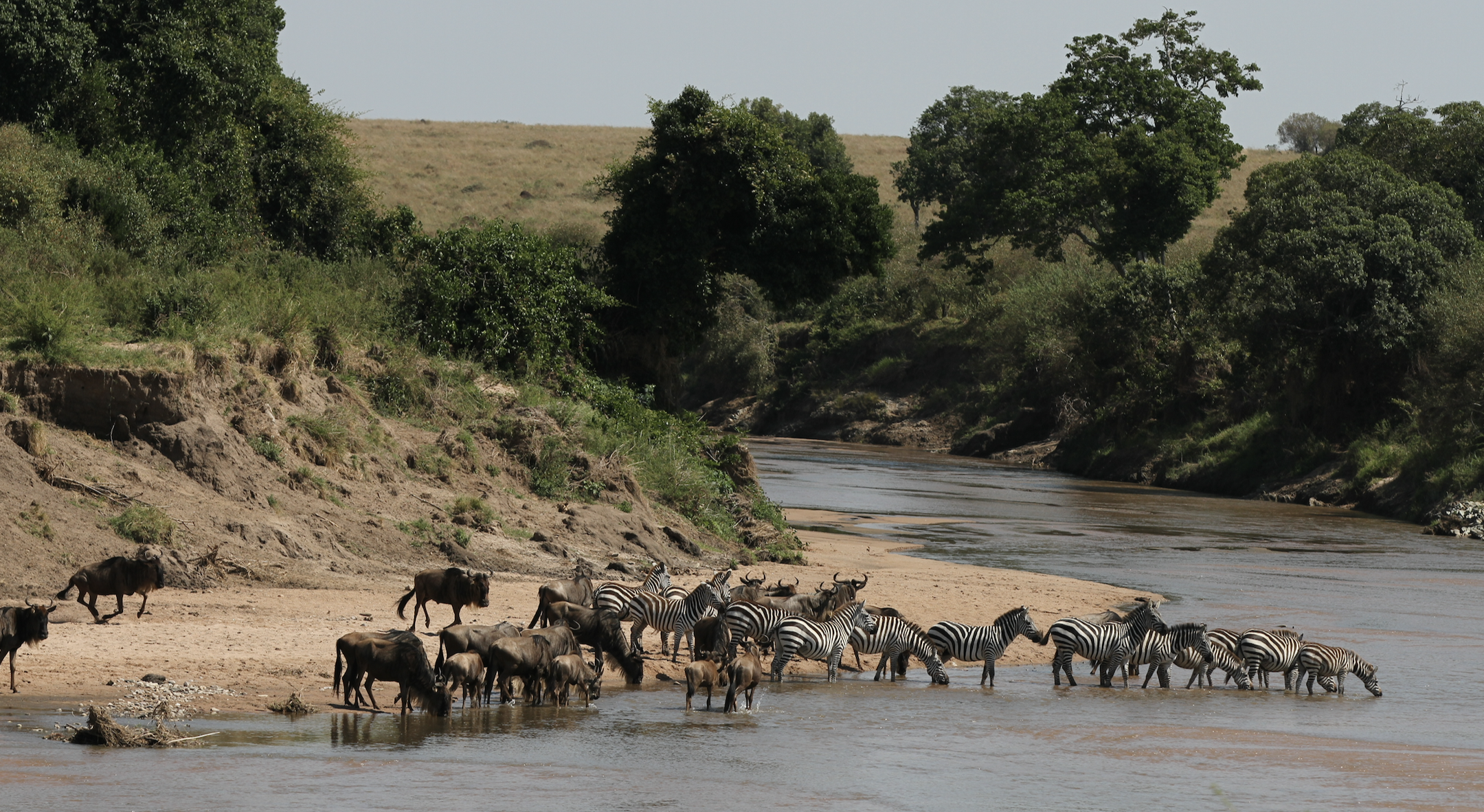 A trip to the southern edge of the Mara