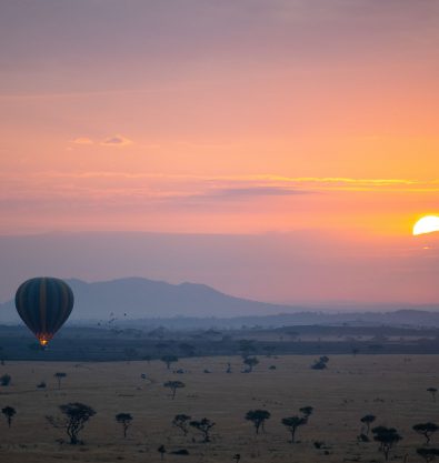 Hot air balloon