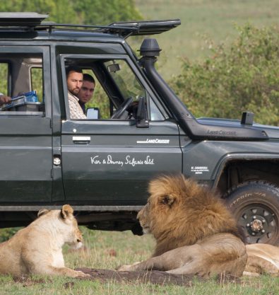 Lioness outside truck